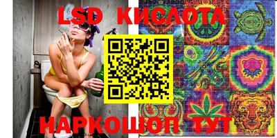 твердый Славгород