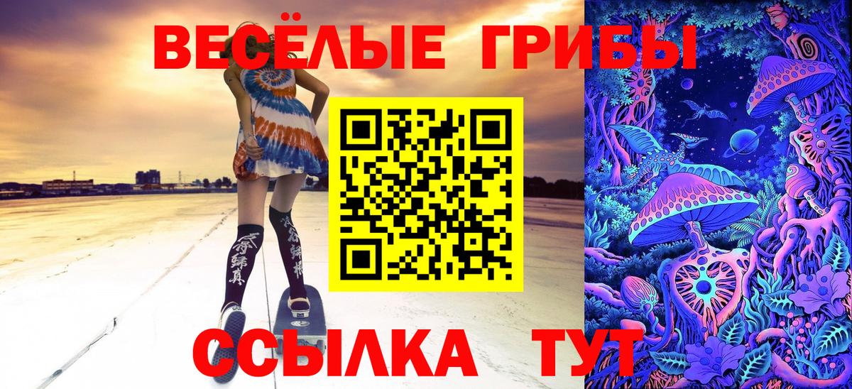 Псилоцибиновые грибы ЛСД  Псилоцибиновые грибы Psilocybe  Петропавловск-Камчатский  наркотики  Вход с VPN 